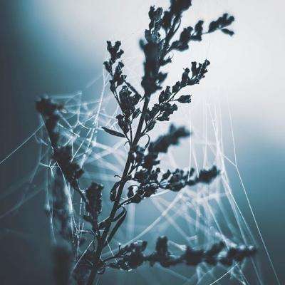 ag娱乐平台游戏中心截图