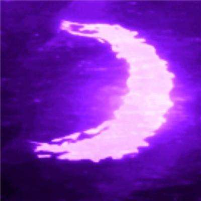 鸭脖app下载app下载截图