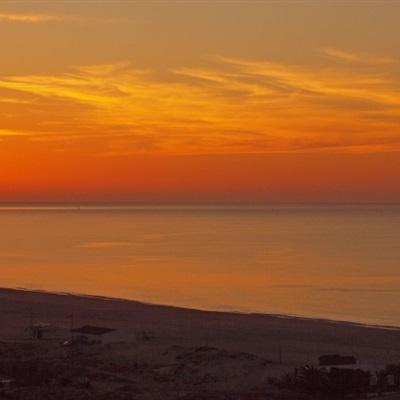 皇冠新体育app下载手机版