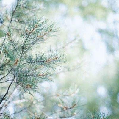 皇冠新体育app下载手机版