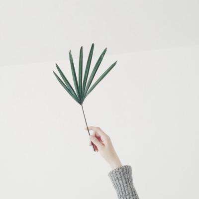 凤凰彩票下载手机版