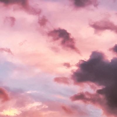 盈彩网下载手机版截图