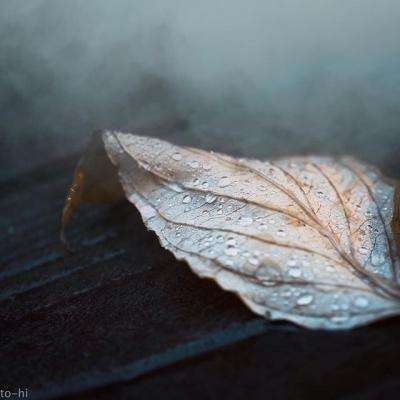 BSport·APP在线登录下载手机版