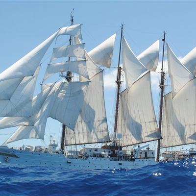 澳门威斯尼斯WNS888入口下载手机版截图