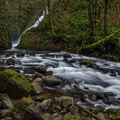 云平台appapp下载